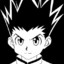 Gon Freecss