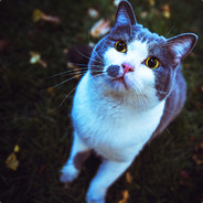 瑟瑟发抖斟茶兵