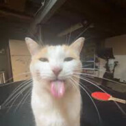 iCarly_toes 👅😛😛