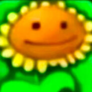 她说避阳让我带伞