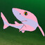 Shiny Dogfish