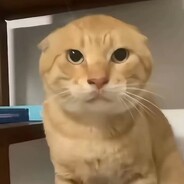 她说戴了不算给