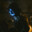Spectral Friends