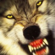 ~Lobo~ - steam id 76561197961452445