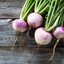 ADeadlyTurnip