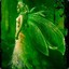 Emeraldia