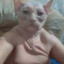 УШЕЛ В ТАЙГУ