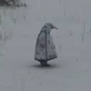 пописал покакал