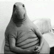 Co - steam id 76561198275620850