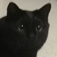 看瓦基靶打不打