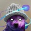 Galaxy Dog