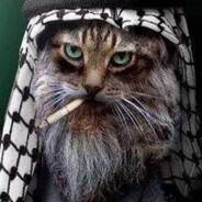 weksterekk *********