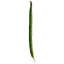 Green Bean