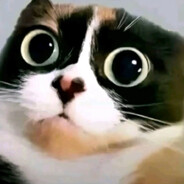 БОЛЬШОЙ СЫН