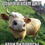 пешка навального