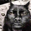 el gato negro