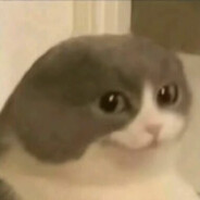 没有明天的度过今天