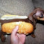 Hot Dog In A Hot Dog
