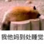 我可以去你家睡吗
