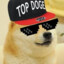 Dogestan