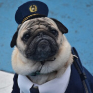 spdi gonzalez ft. og kusy