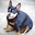 boodle's Avatar