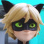 Cat Noir