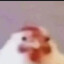 CaptainAlperen