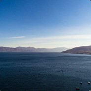 我先拉个大电 你们稳住