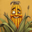 OldCorn