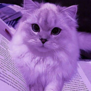 Kudos - steam id 76561199251548945