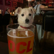 谜语人竟是我自己