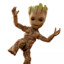 imgroot