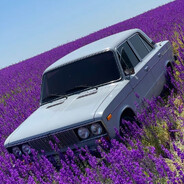 Вор В Законе