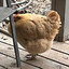 Absolute Unit
