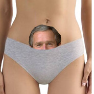 Bush lover