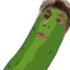 Pickle