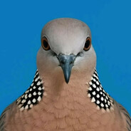 QQ农场说我菜死了