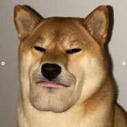 Wildbandit - steam id 76561198271329323