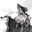 Savant