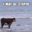 Bearly Xanax