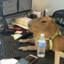CAPIBARA CACHERO