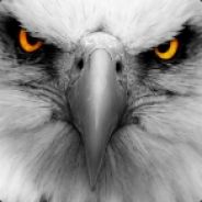 TheEaglez