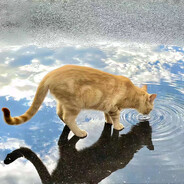 我是无敌暴龙战士