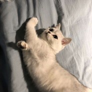 爱上兄弟妻子v我50倾听