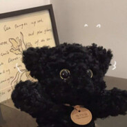 青青草原我最狂 我是DJ懒大王