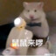 ddd你说得对