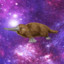 SpacePlatypus