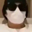 bot