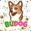 Budog